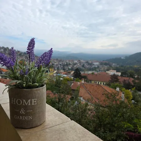 Appartement ванкови 2